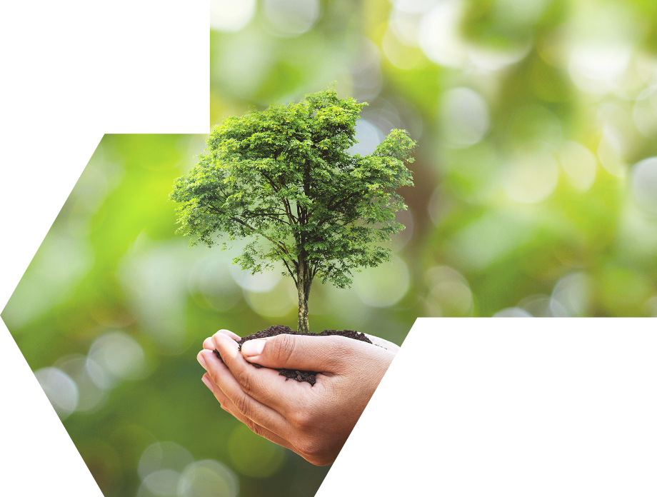 ��������r(ji��)ֵ