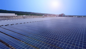 �����辧�cLEYU�پW(w��ng)��는y�֑�(zh��n)�Ժ���