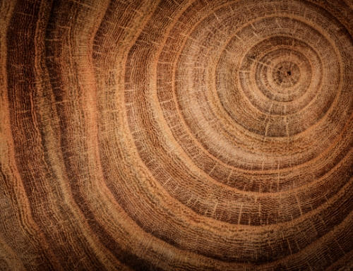 �h(hu��n)�����m(x��)