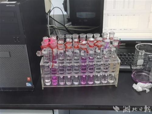 口紅里是否含汞 十分鐘出結果 探秘武漢食品化妝品檢測所